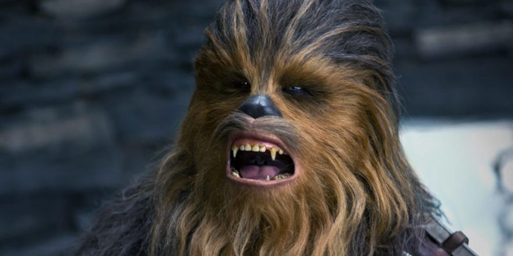 Chewbacca roars at Luke Skywalker as the two are reunited on Ach-To in The Last Jedi