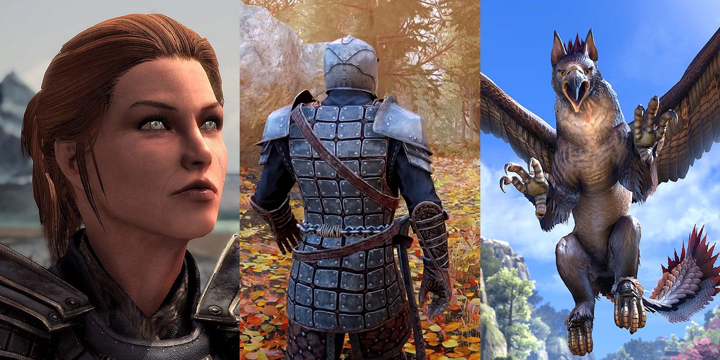 Split image of Delphine and the Dragonborn from Skyrim, and a Gryphon from Elder Scrolls Online