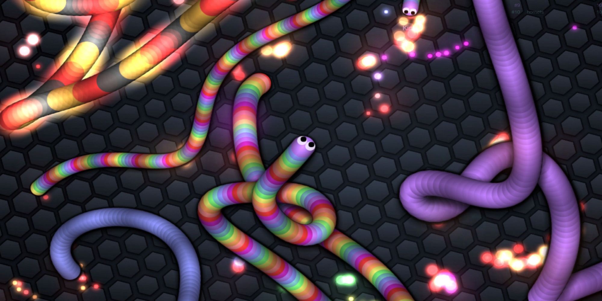 A screenshot of the browser game slither.io.