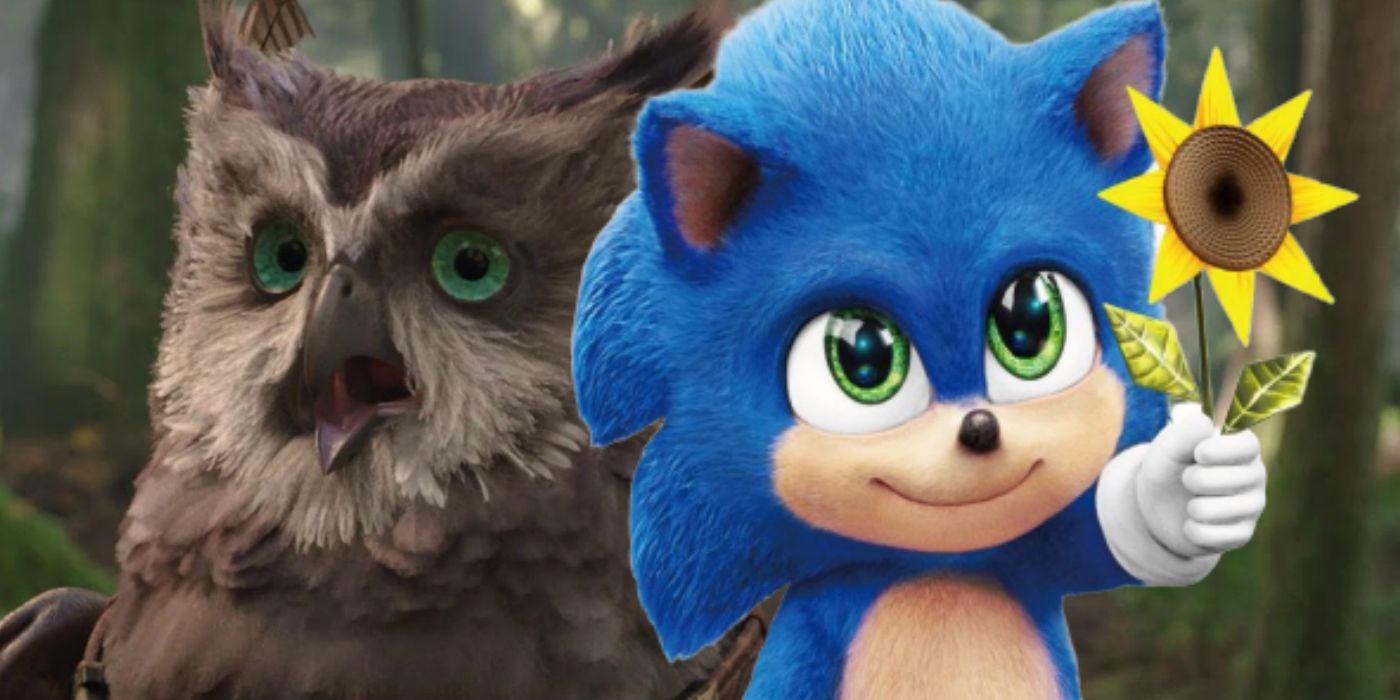 This One Is Cute Scene - Sonic: The Hedgehog (2020) Movie Clip 