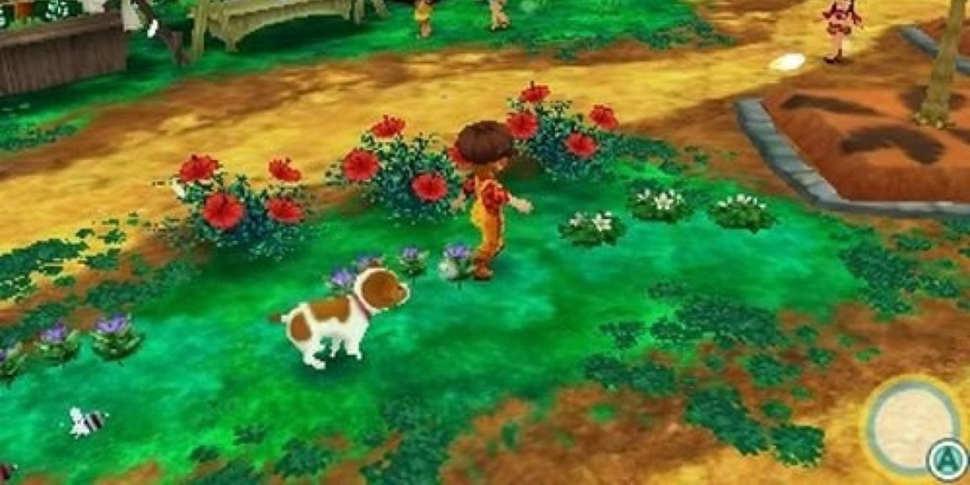 Story of Seasons Trio of Towns Farming