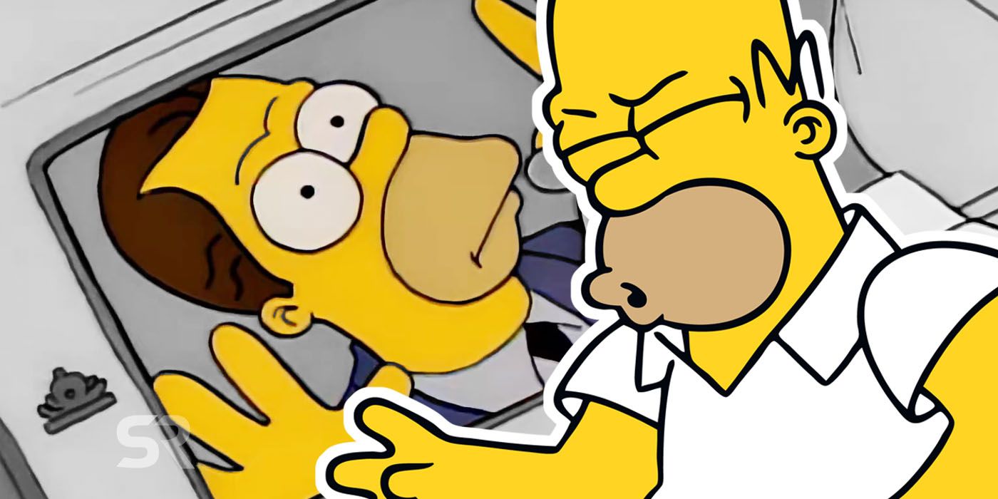 The Simpsons Homer brother Herb plot hole gene