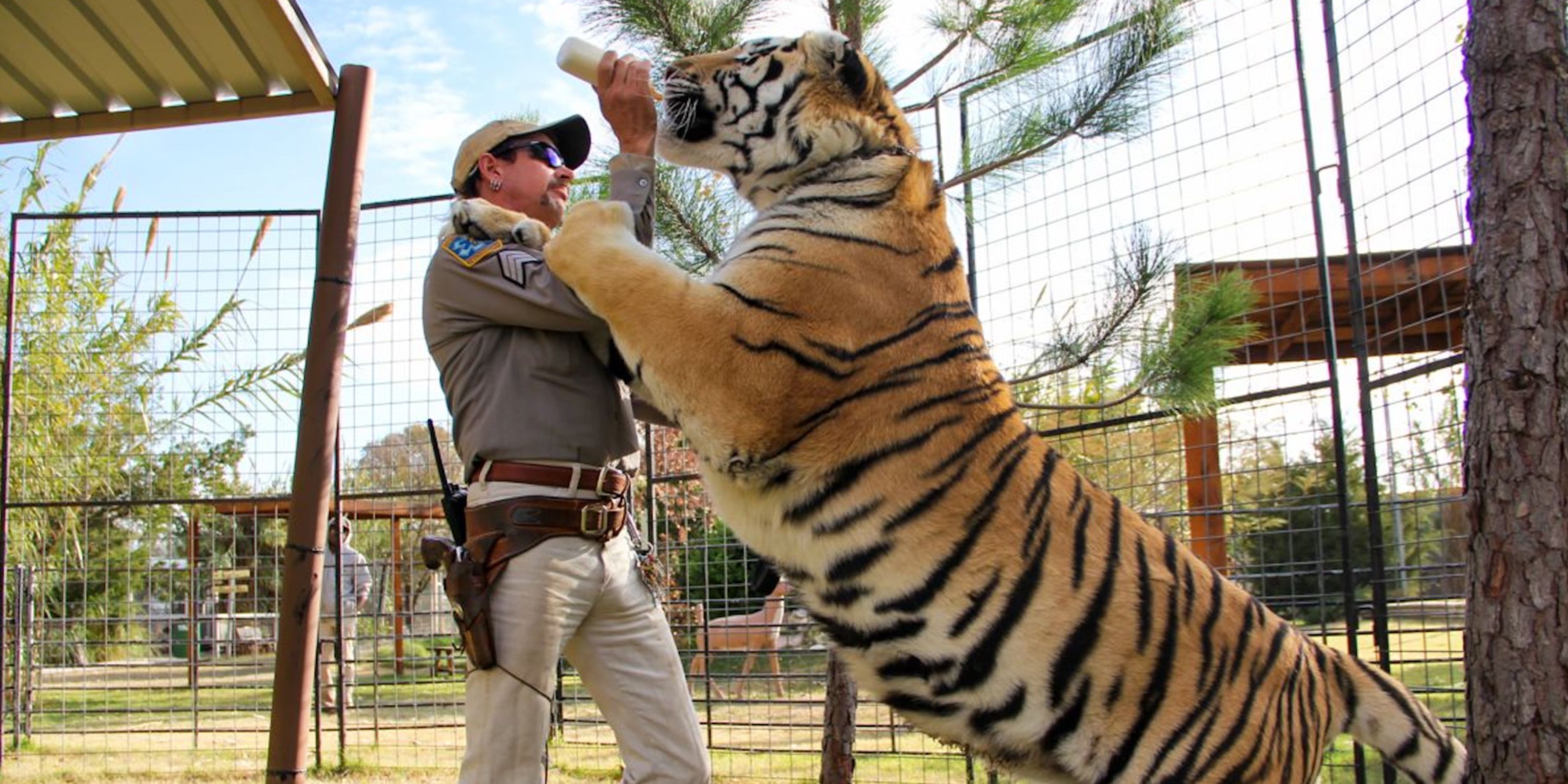 Tiger King: What Happened To Jeff Lowe (and Joe Exotic’s Zoo)