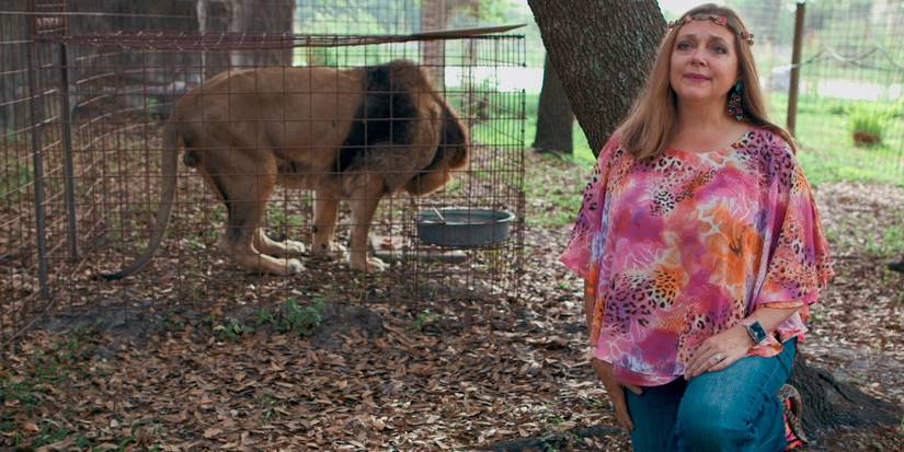 Where is Carole Baskin Cat Rescue: Discover the Hidden Sanctuary