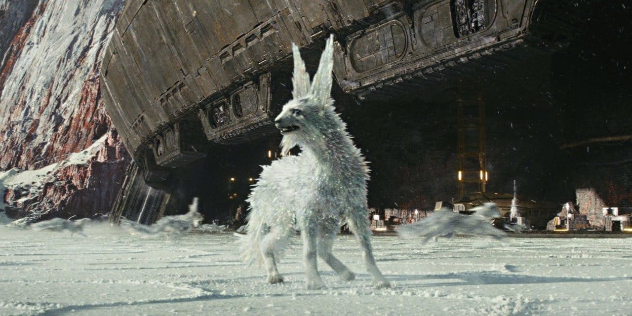 Vulptex Cropped