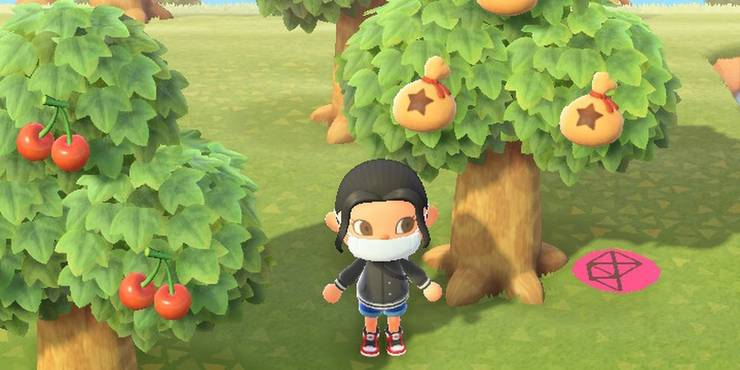 Animal Crossing New Horizons House Upgrades Guide Screen Rant