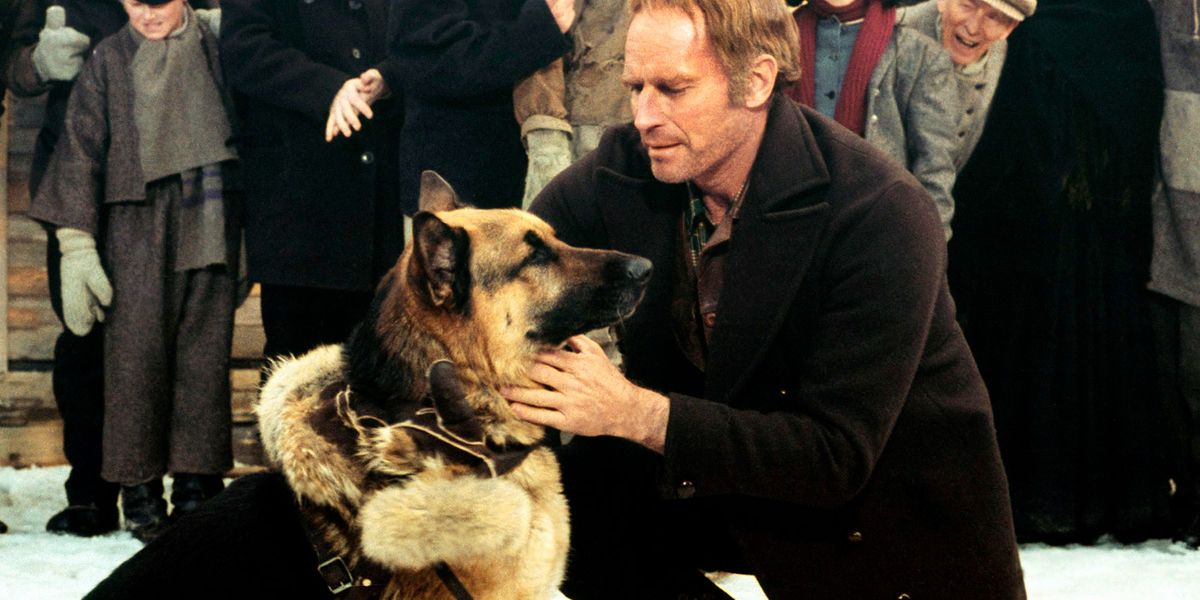 call-of-the-wild-1972-charlton-heston