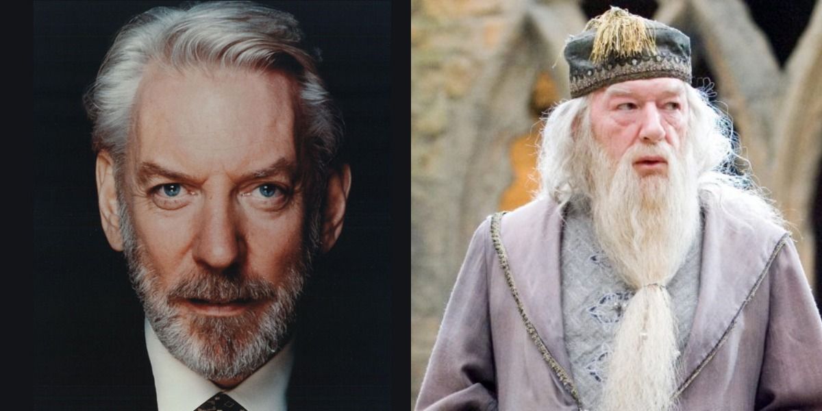 donald sutherland as albus dumbledore
