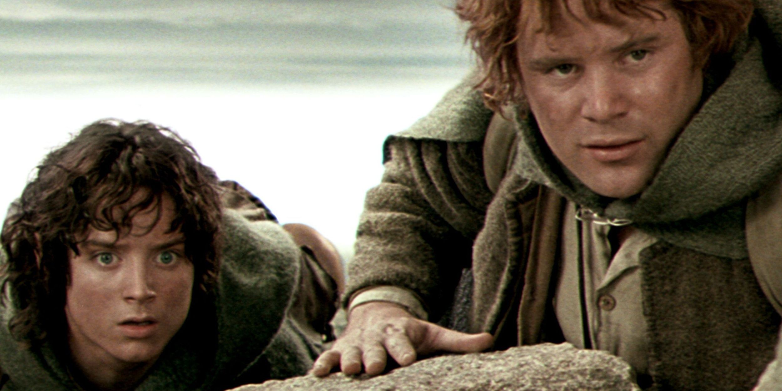 Frodo and Sam looking together from cover