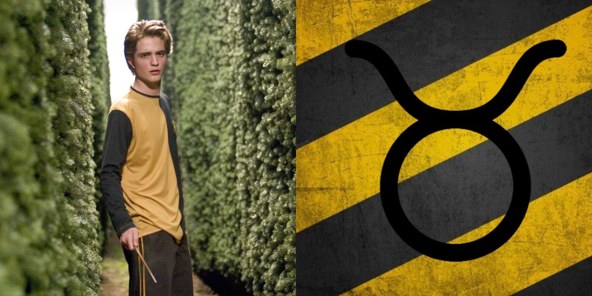 Cedric Diggory in the Maze next to the Taurus Symbol over Black and Yellow stripes