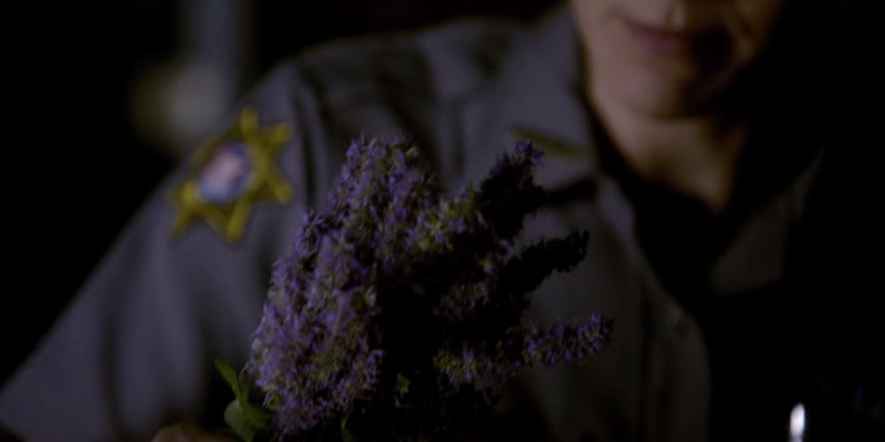 Liz Forbes looking at a purple vervain plant in The Vampire Diaries
