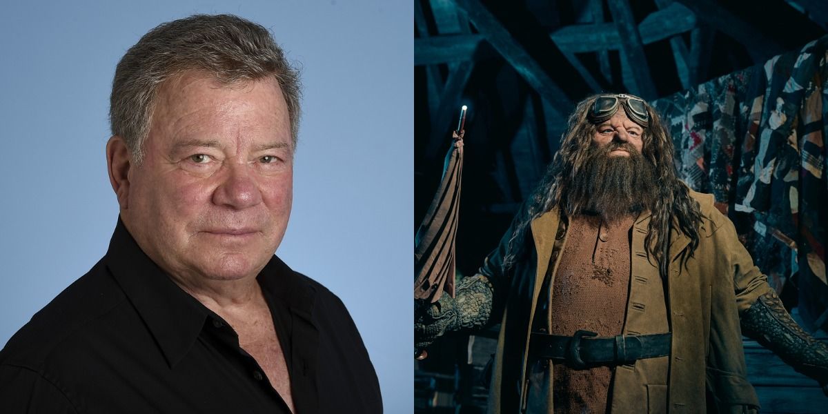 william shatner as hagrid