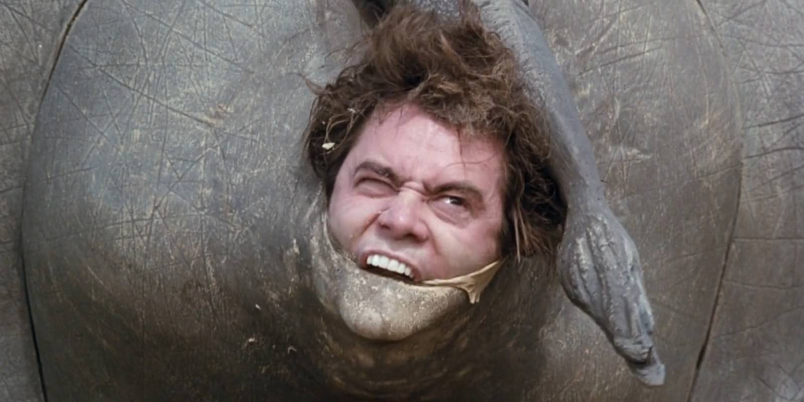 Jim carrey rhinoceros scene