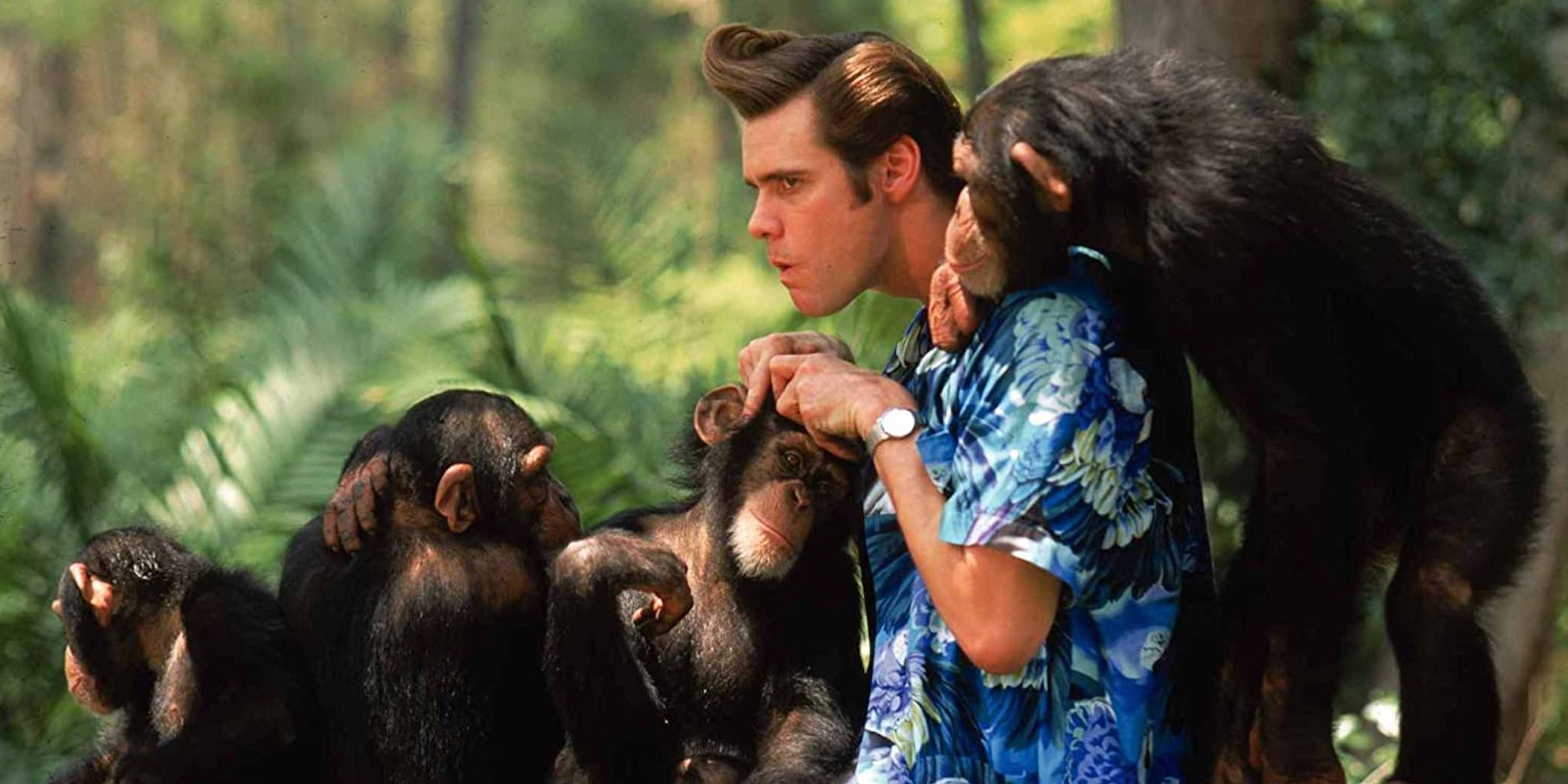 Ace (Jim Carrey) picking apes' heads in Ace Ventura: When Nature Calls
