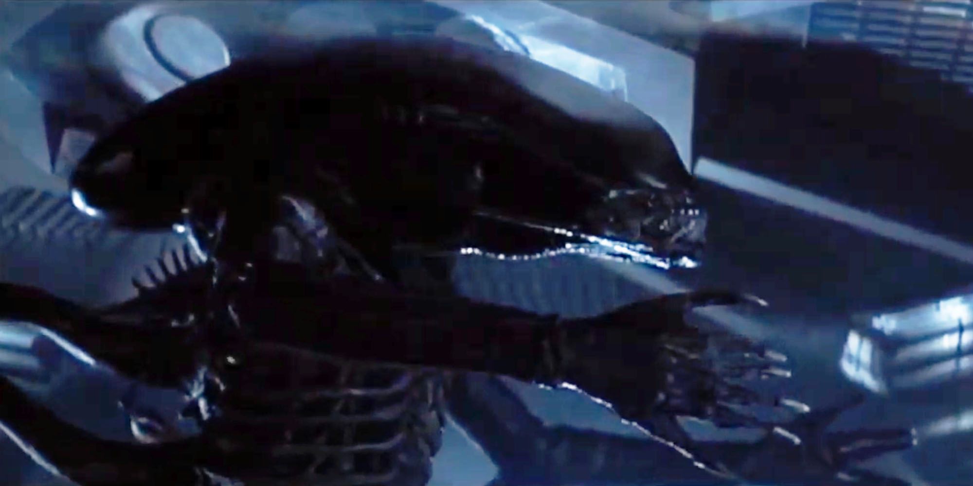 Alien: 10 Surreal Facts About Artist H.R. Giger’s Role In The Film’s Set Design