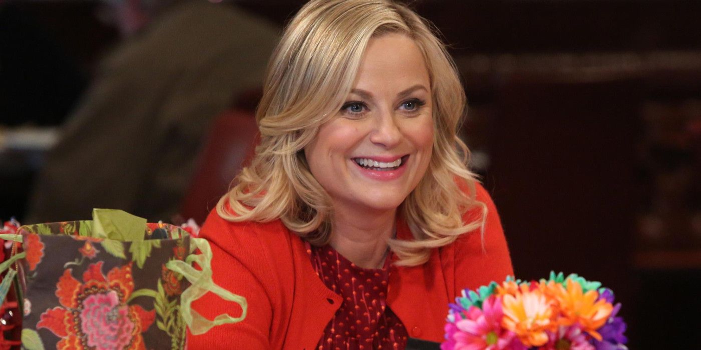 Parks &amp; Recreation Star Amy Poehler Doesn’t Remember The Plot Of The Show