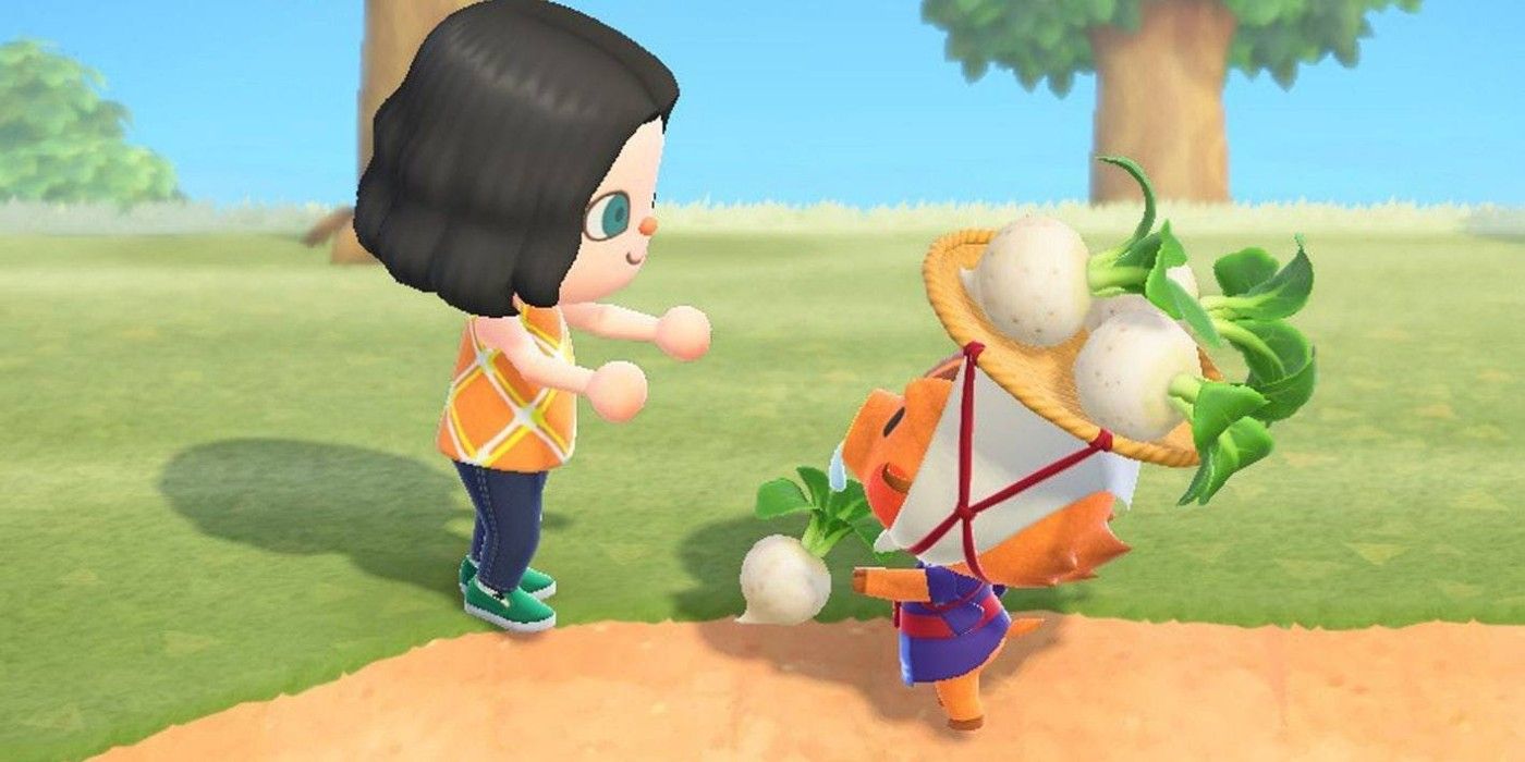 Animal Crossing player character interacting with Daisy-Mae