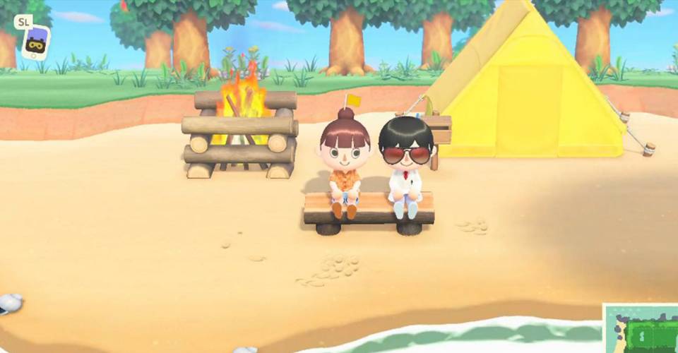 Animal Crossing New Horizons What To Do When Visiting Friends