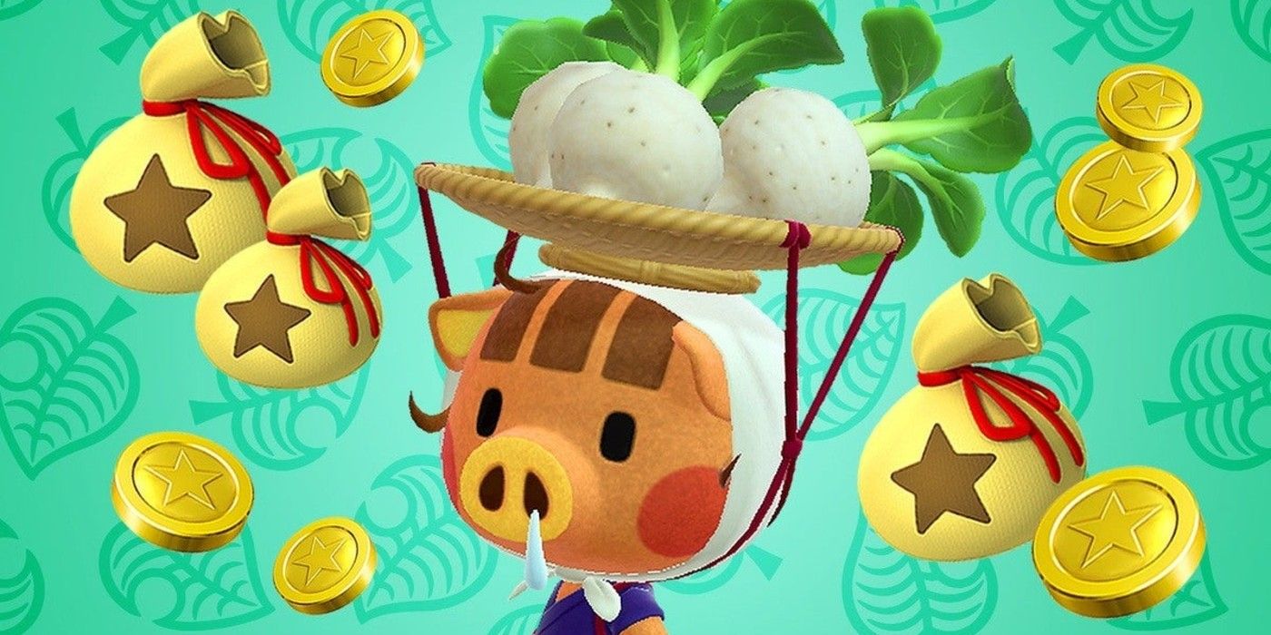 В Animal Crossing не существует «лучшего времени» для продажи репы