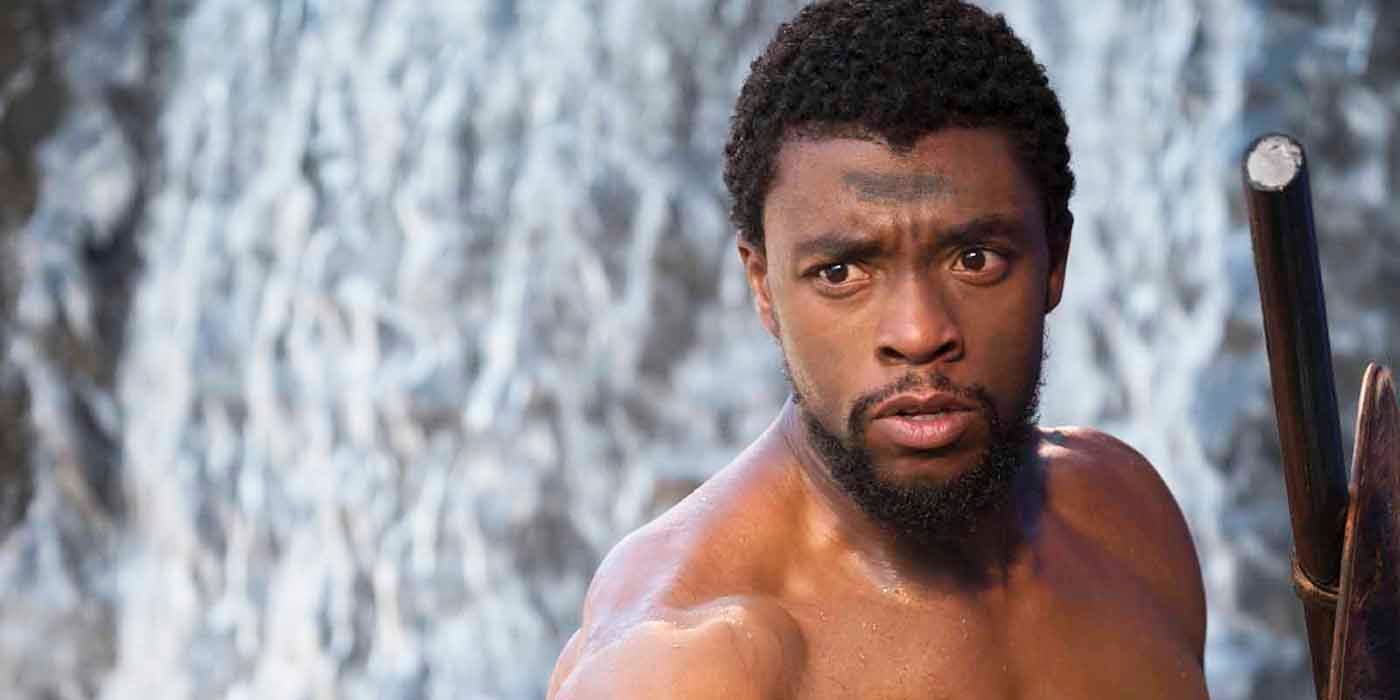 Black Panther TChalla Chadwick Boseman