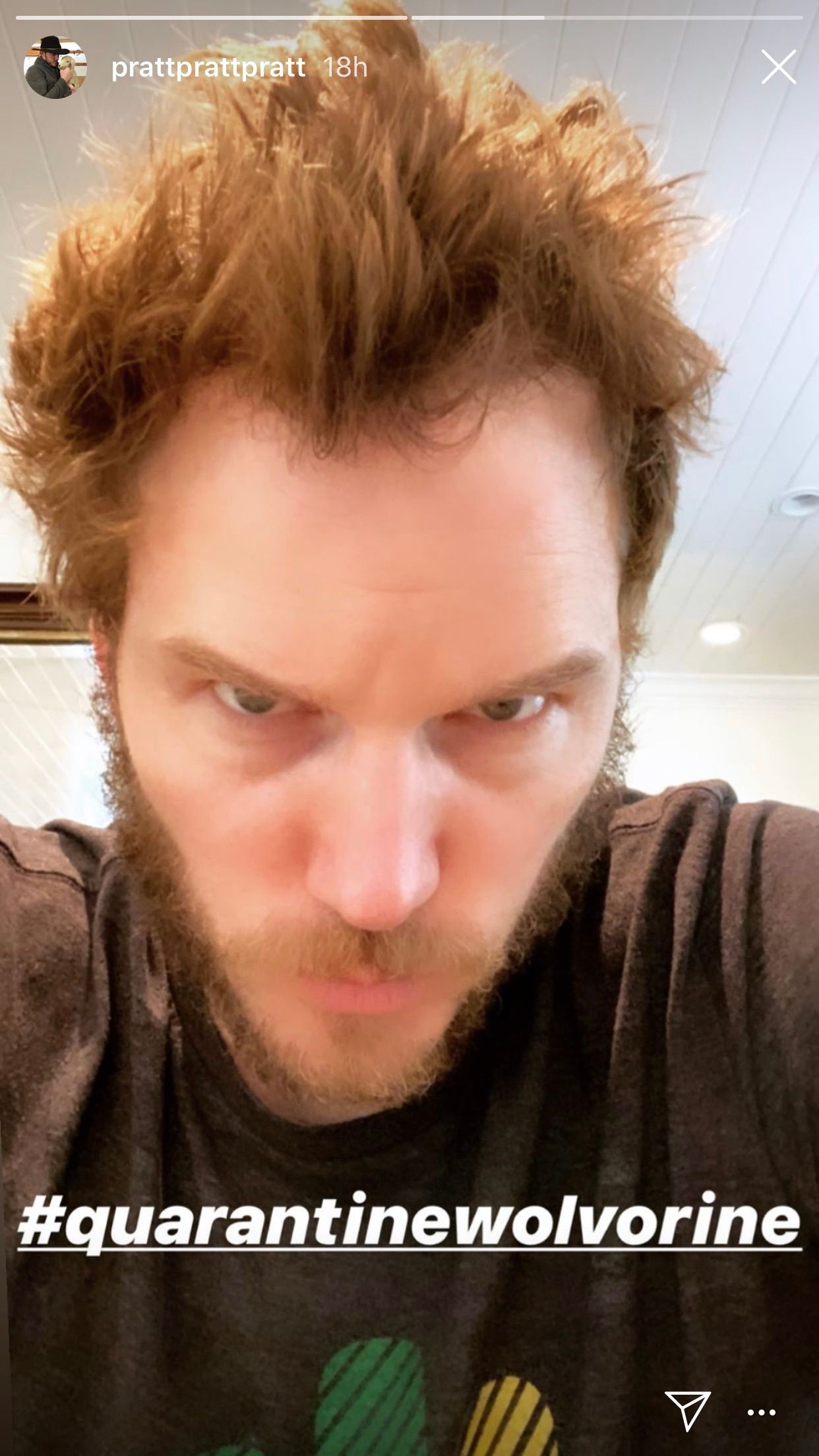 Chris Pratt Wolverine Beard