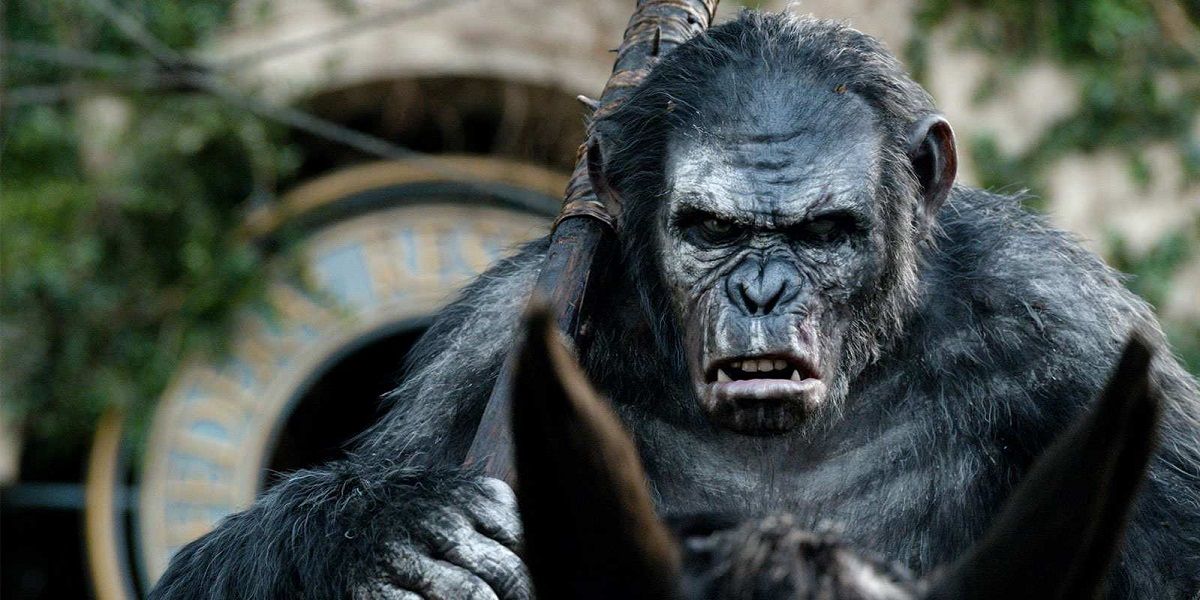 Planet Of The Apes Franchise, Ranked