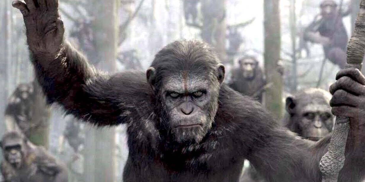 Caesar hangs from a tree in Dawn of the Planet of the Apes