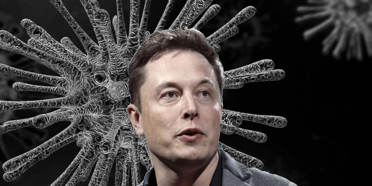 Best Twitter Meme Reactions To Grimes Elon Musk S X Ae A 12 Name
