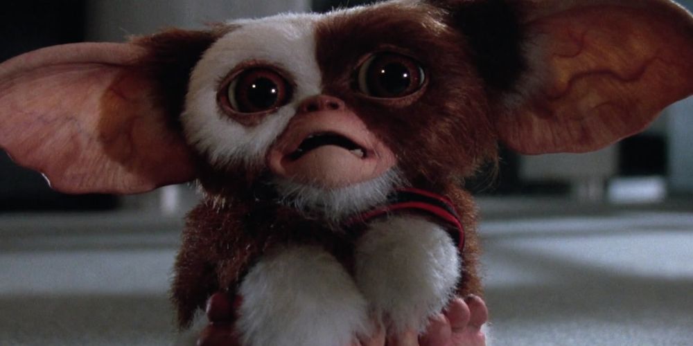 10 Most Memorable Animal Companions In Horror Movies