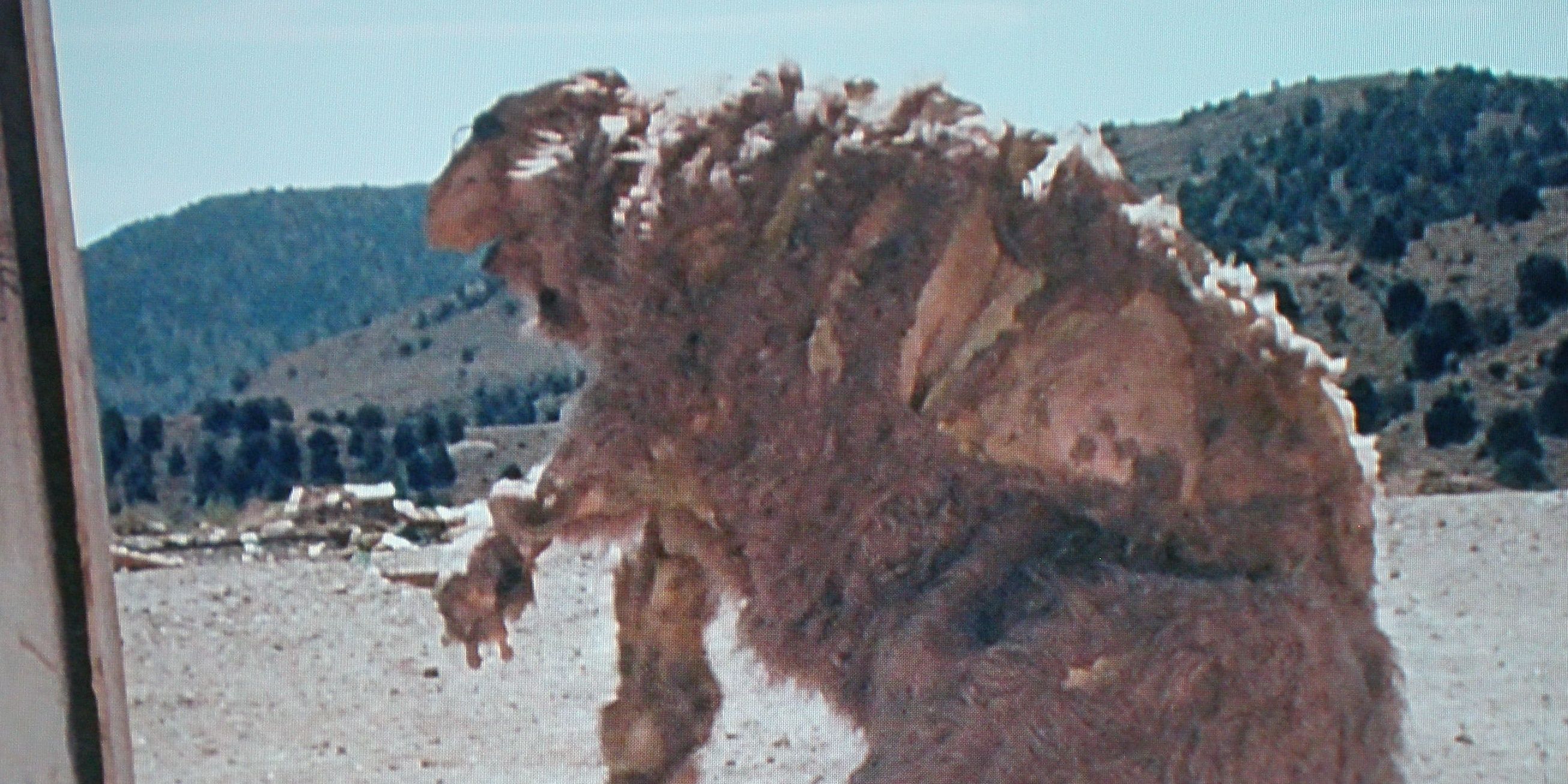 Godmonster Indian Flats