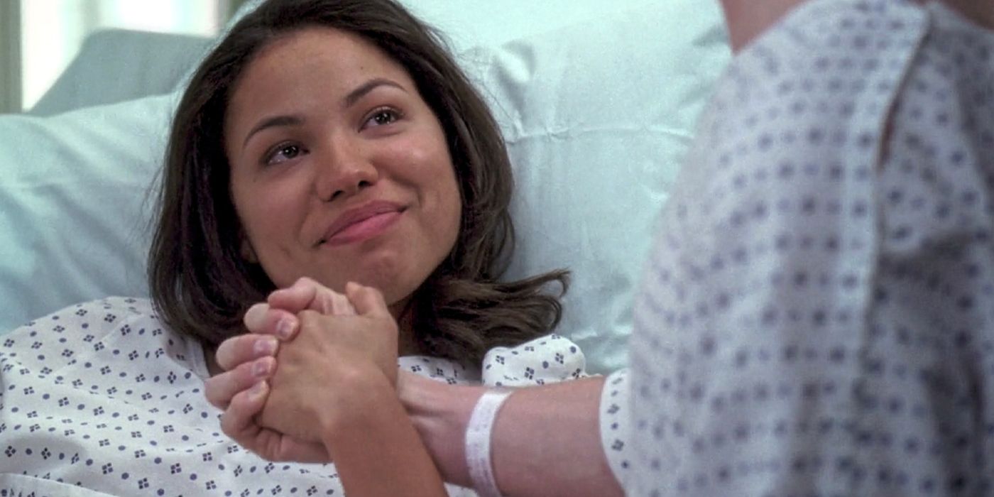 grey&rsquo;s anatomy
