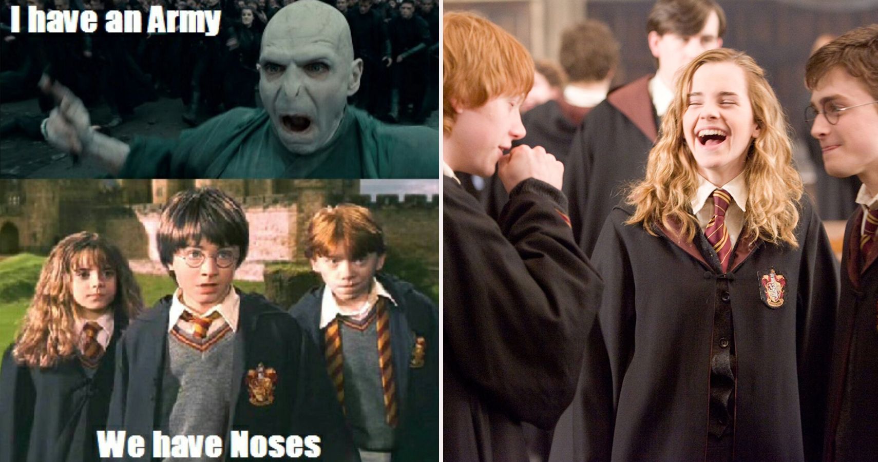 Harry Potter: 10 Memes That Perfectly Sum Up The Golden Trio