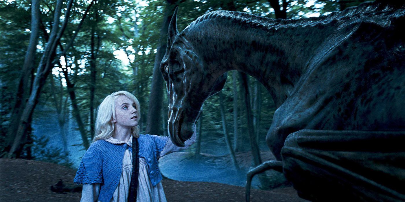 Luna pets a Thestral in Harry Potter and the Order of the Phoenix