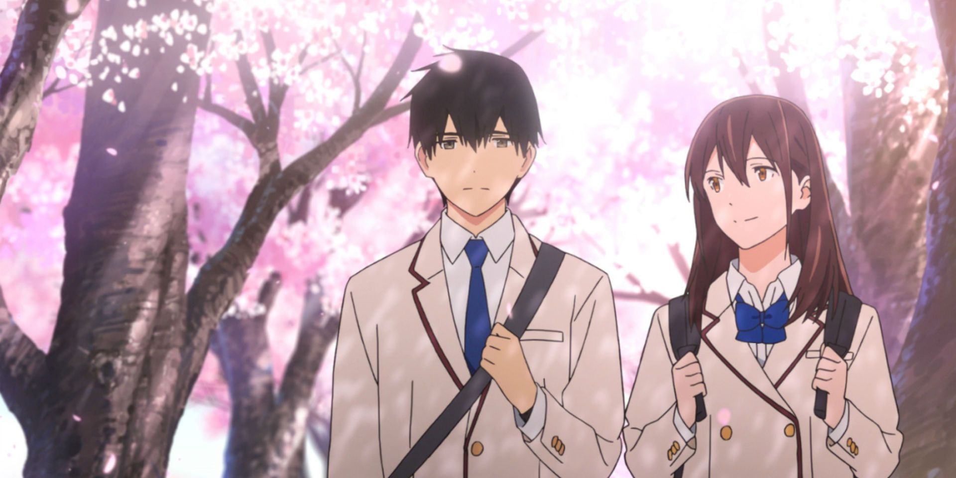 Characters walking together in the anime I Want To Eat Your Pancreas