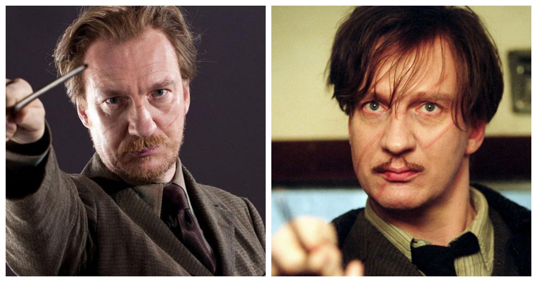 Harry Potter 10 Things Only Book Fans Know About Remus Lupin