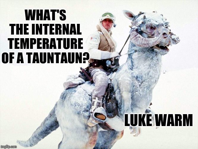 Star Wars: 10 Best Luke Skywalker Memes