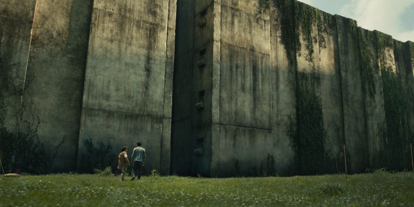 The walls of the maze in The Maze Runner