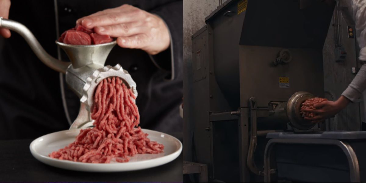 Netflix’s Tiger King 10 Things Carole Baskin Says The Show Lied About