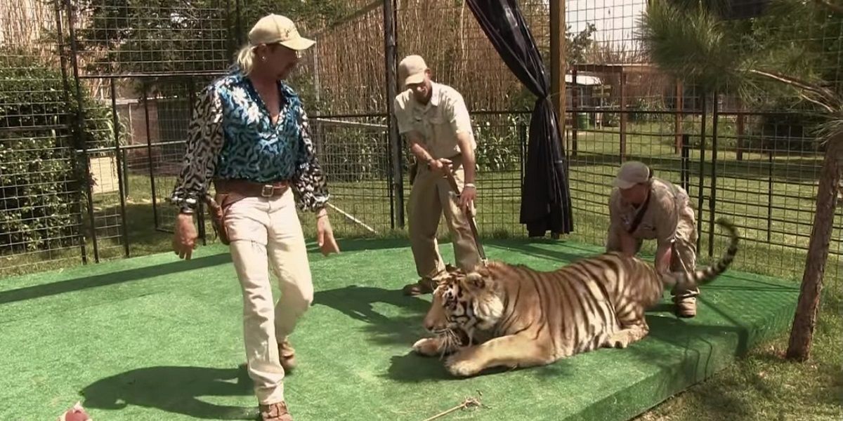 Joe Exotic SCARED Of Tigers? Biggest Tiger King Twist Revealed In New Episode