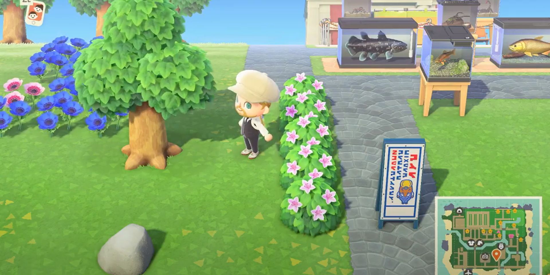 Animal Crossing New Horizons Where to Buy Shrubs (& How to Plant Them)