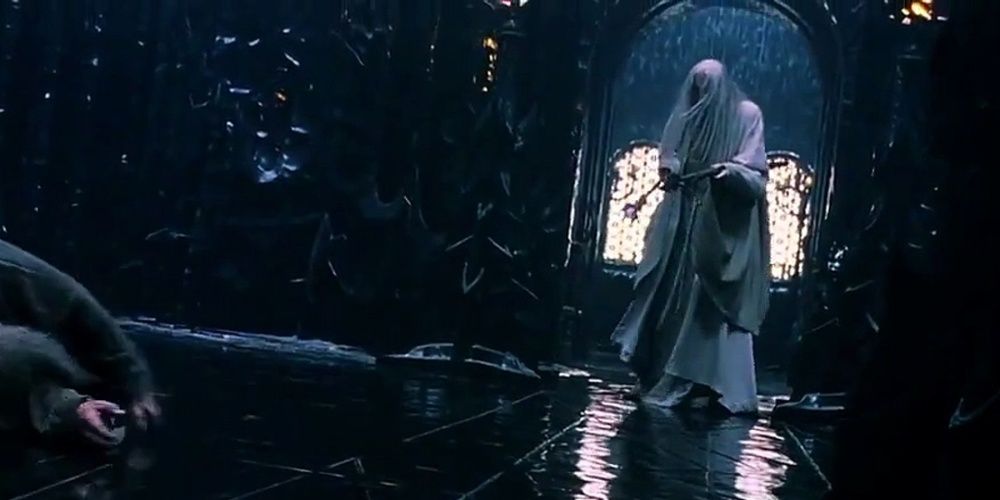 Saruman and Gandalf in the Fellowship of the Ring