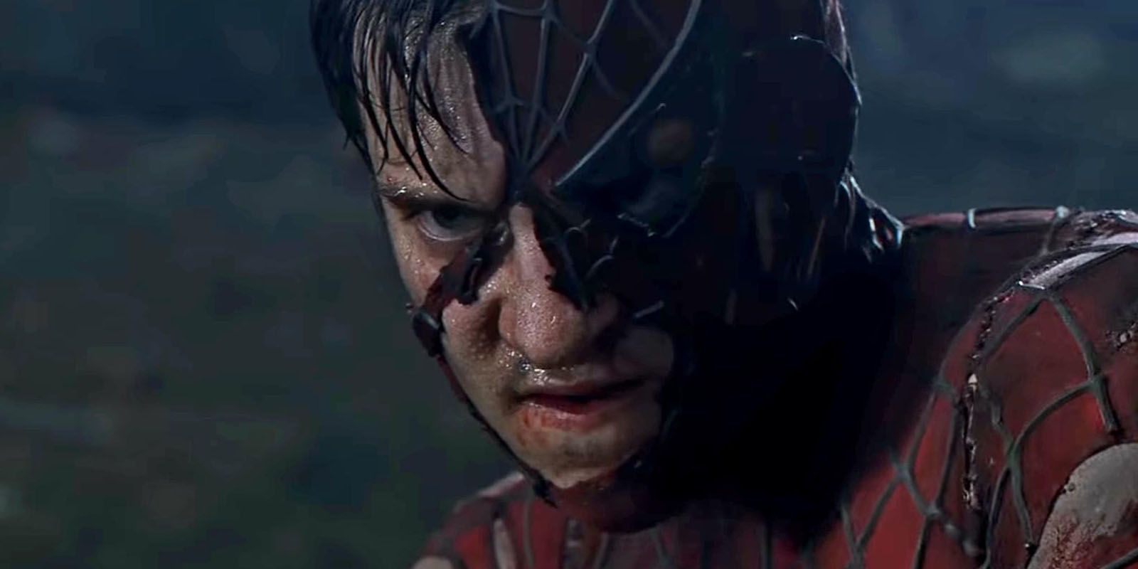 Spider-Man Physical Fight