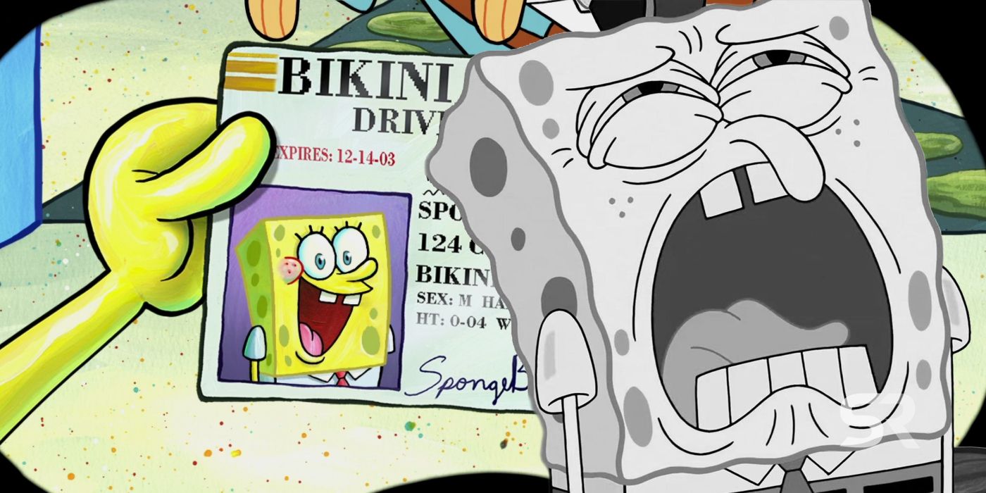 How Spongebob Squarepants Got His Driver S License Why He Lost It