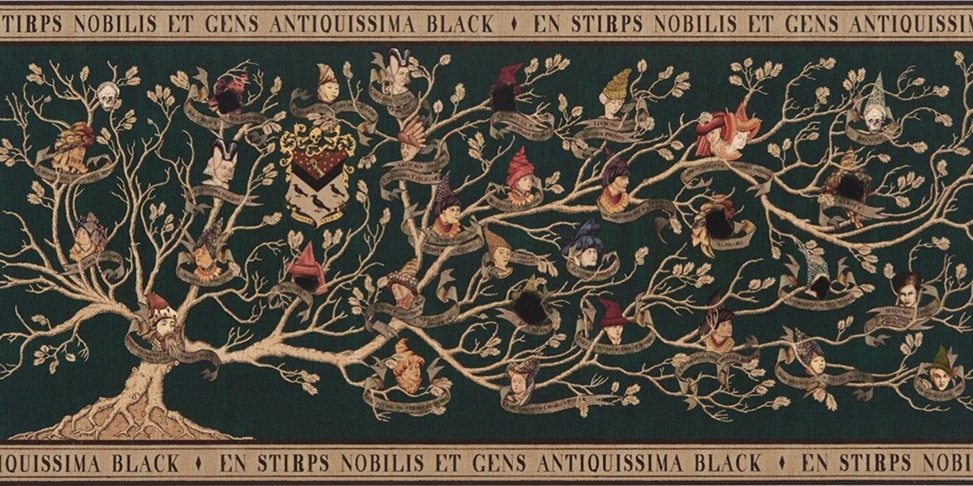 The Black Family Tree from Harry Potter