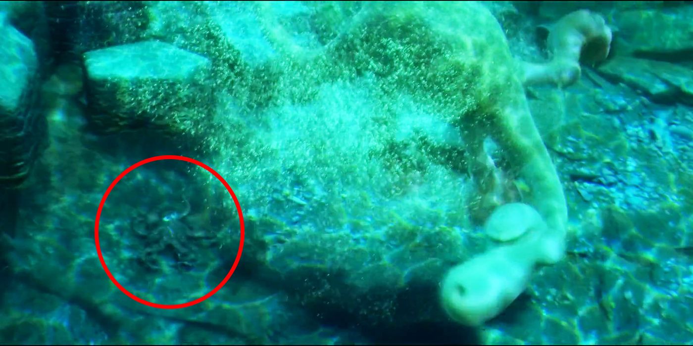 A look underwater in The Good Dinosaur teases Finding Dory.