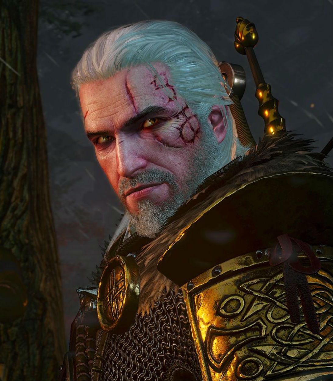 The Witcher 3 Hearts Of Stone vertical