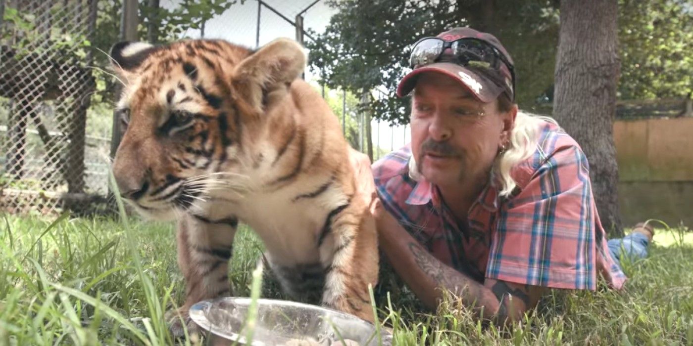 Tiger King-joe exotic lying with tiger cub