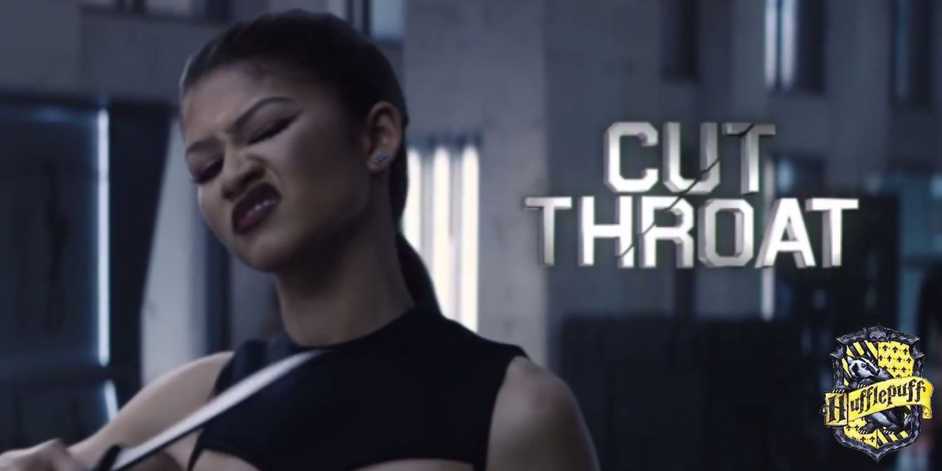 Hogwarts Houses Of Zendaya Characters