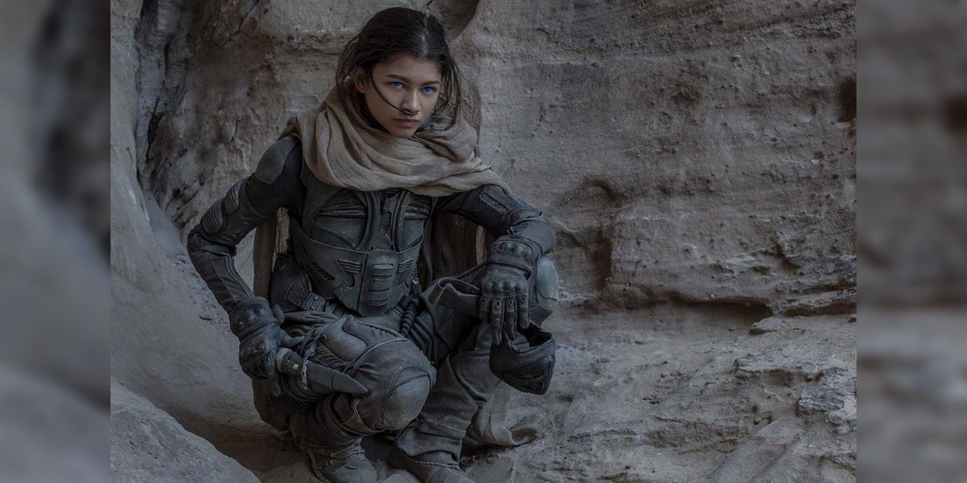 Zendaya as Chani crouched on a rock in Dune.