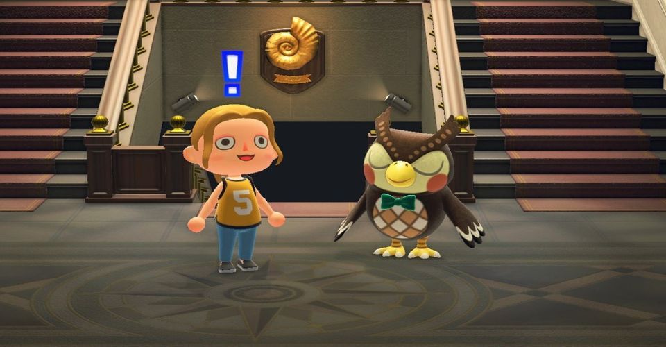 Blathers in the museum in Animal Crossing: New Horizons